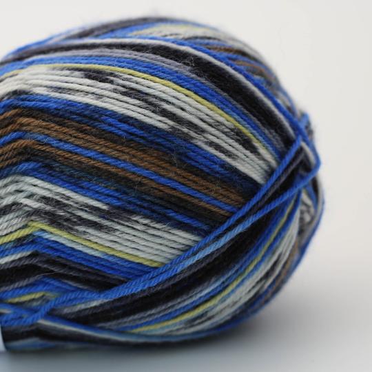 Socks & More 4ply by Arne & Carlos