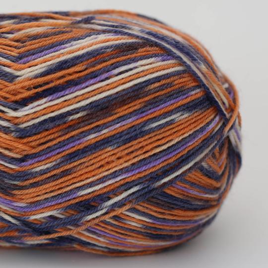 Socks & More 4ply by Arne & Carlos