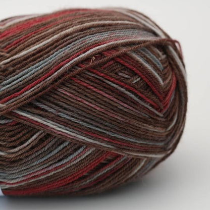 Socks & More 4ply by Arne & Carlos