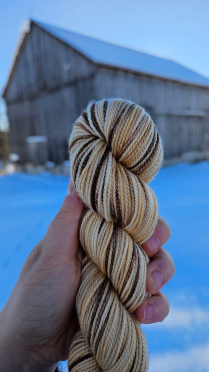 Koigu Collector Club Limited Editions