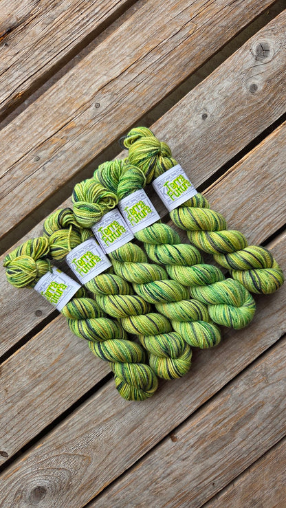 Koigu Collector Club Limited Editions
