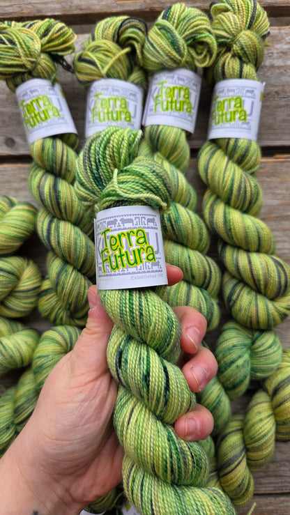 Koigu Collector Club Limited Editions