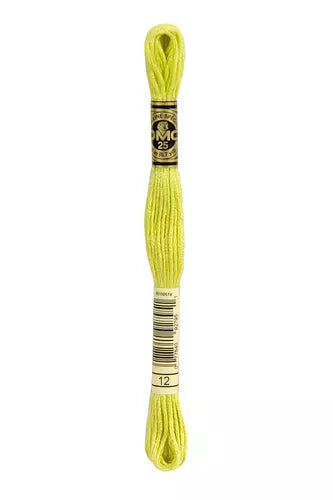 DMC Embroidery Floss - Colours 1-150 & Ecru, White, B5200