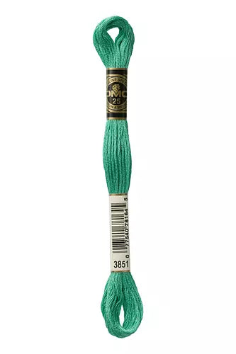 DMC Embroidery Floss - Colours 3816 - 3866