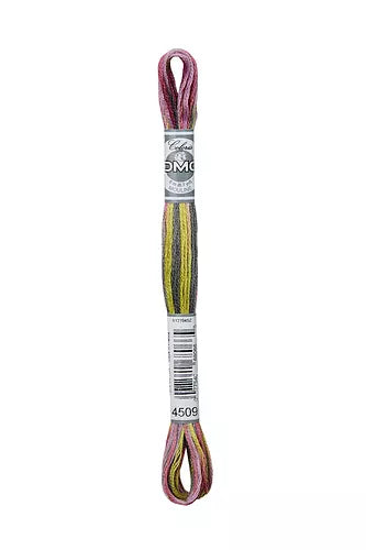 DMC Coloris Embroidery Floss