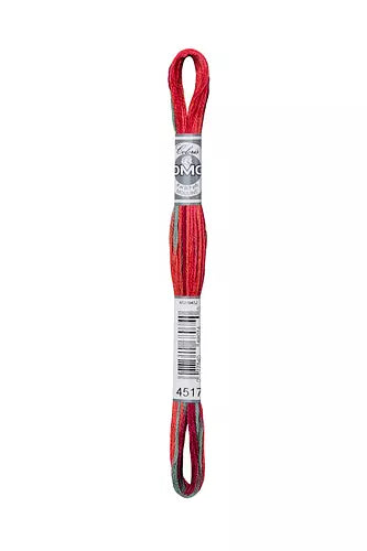 DMC Coloris Embroidery Floss