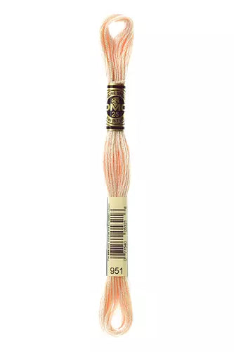 DMC Embroidery Floss - Colours 906 - 959