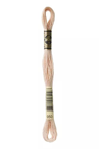 DMC Embroidery Floss - Colours 906 - 959