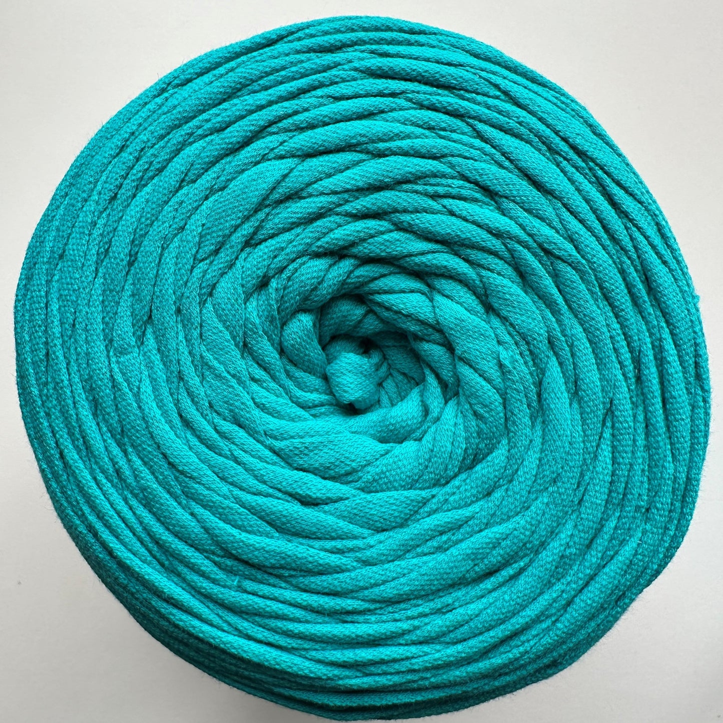 Spaghetti T-Shirt Yarn