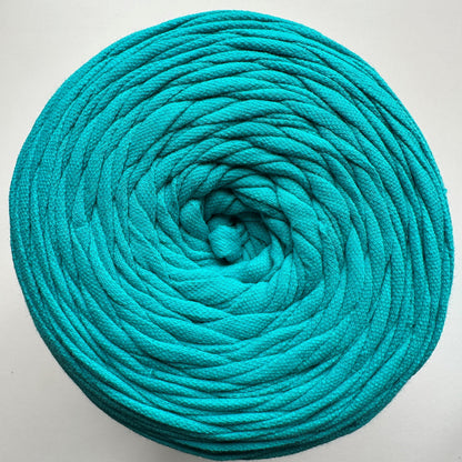 Spaghetti T-Shirt Yarn
