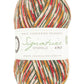 WYS Signature 4Ply Christmas Yarn