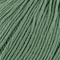Cotton-Cashmere