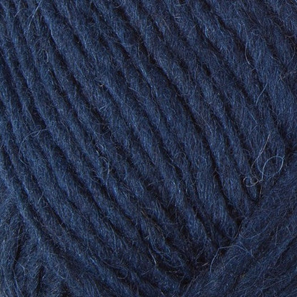 0118 Navy