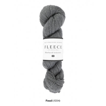 1034 Fossil