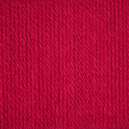 10413 Raspberry