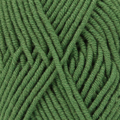 14 Forest Green