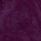 19 Purple Finch