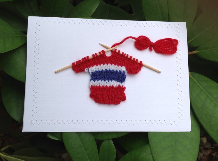 Blank Greeting Card - Red, Blue, & White Hockey Sweater
