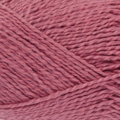 2813 English Rose