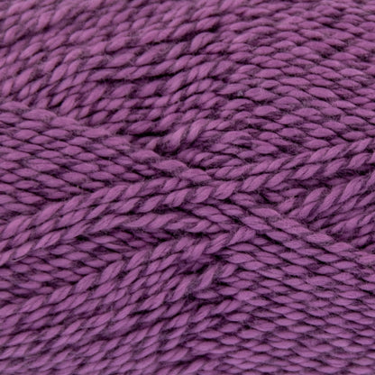 2826 Tulip