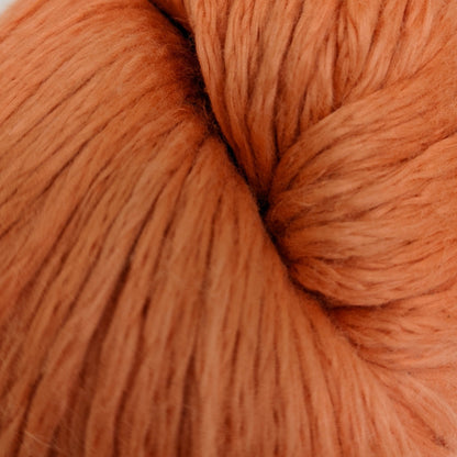 39 Pumpkin