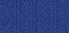 02733 Electric Blue