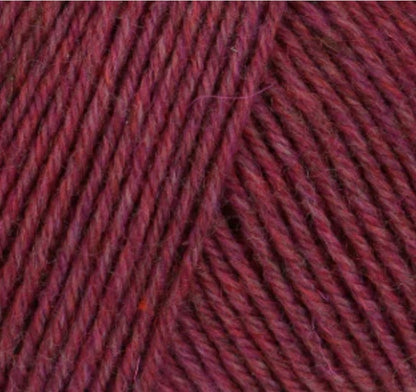7517 Raspberry