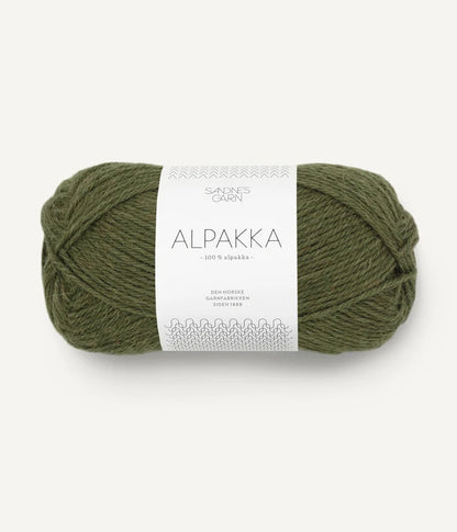 9573 Dark Olive