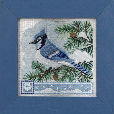 MH14-2233 Blue Jay