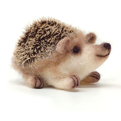 CKC-NF162 Baby Hedgehog