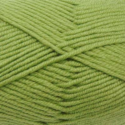 A skein of Estelle Superwash Merino DK  wool yarn in Lime green colour.