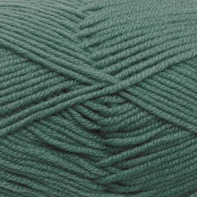 A skein of Estelle Superwash Merino DK  wool yarn in Lagoon green colour.