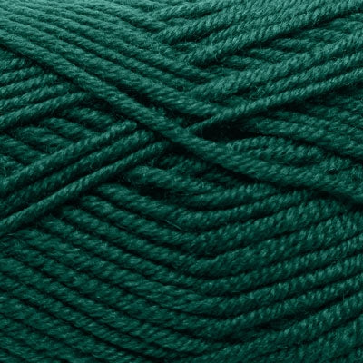 A skein of Estelle Superwash Merino DK  wool yarn in Pine green colour.