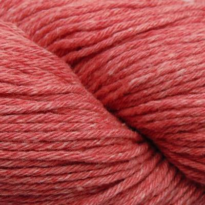 Q42807 Rose