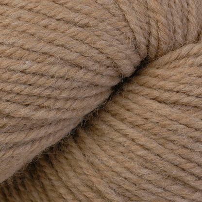 62504 Spelt