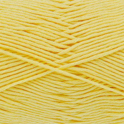 3199 Lemon