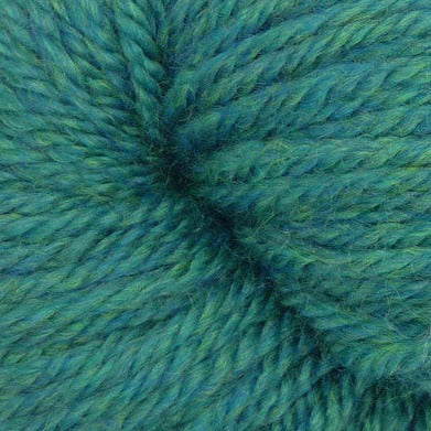 Q61287 Blue Spruce Heather