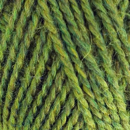 424 Olive
