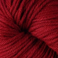 6134 Sour Cherry