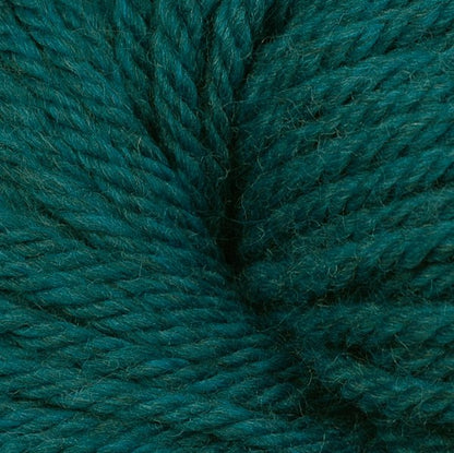 6197 Neptune