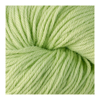 2124 Kiwi